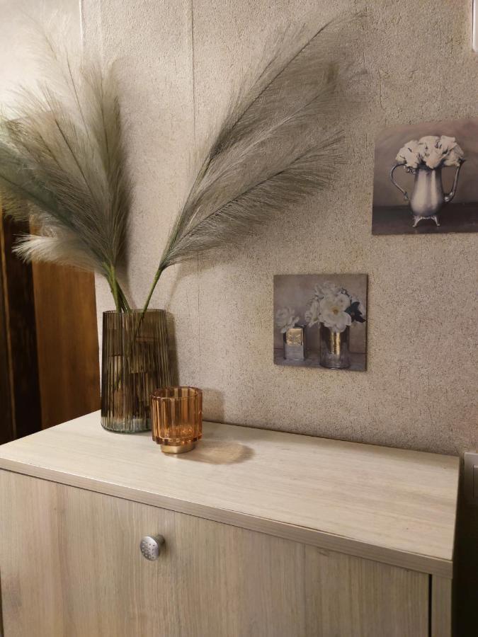 Dream Apartment 班斯科 外观 照片